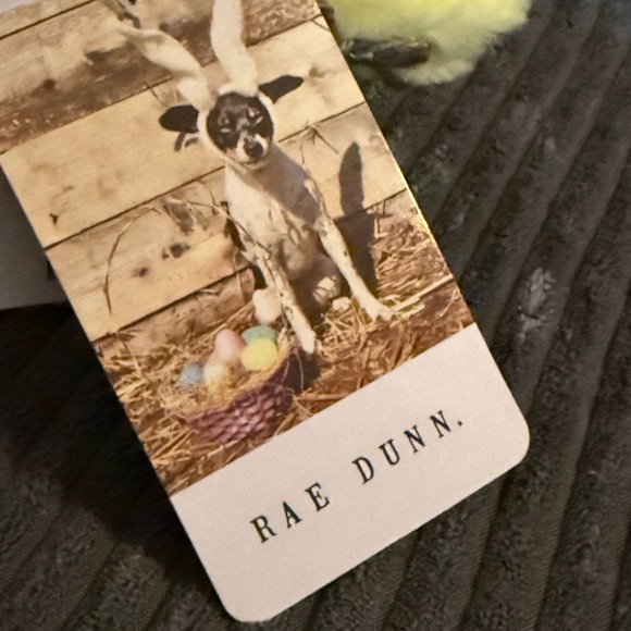 Rae Dunn Weighted Yellow Plush Chick with Bunny Ears - NWT - Picture 6 of 8